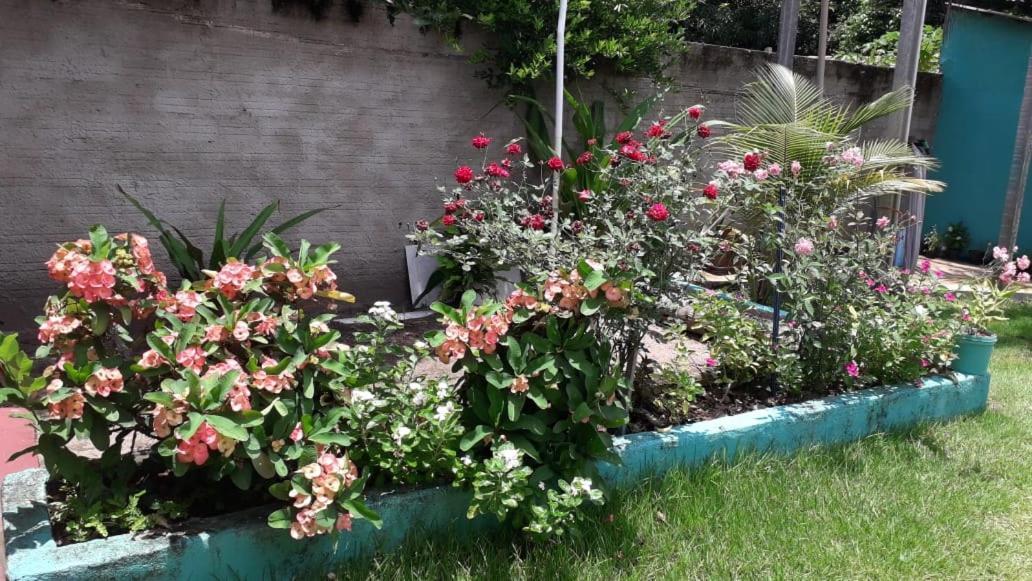 Pousada Tropicaliente Alter do Chão Eksteriør billede